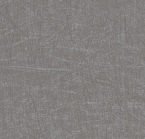 Линолеум Forbo Eternal Material 13712 brushed chrome фото 1 | FLOORDEALER